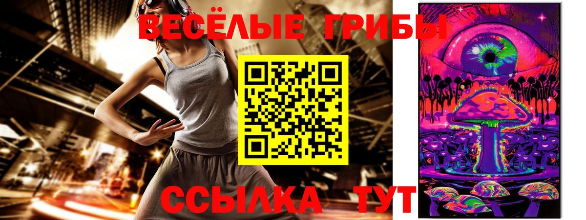 Галлюциногенные грибы Psilocybe Белгород